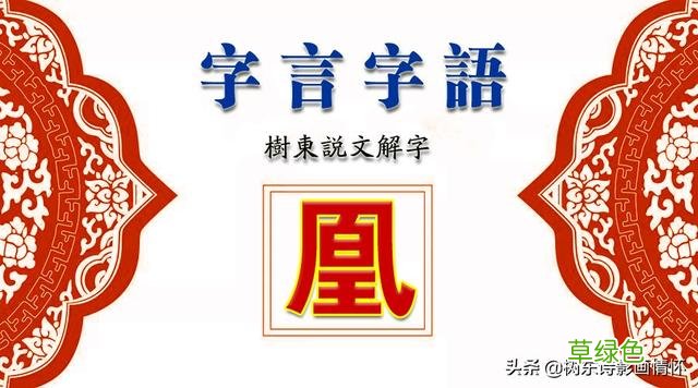 树东说文解字“凰”，凤和凰，龙和凤是怎样的关系？ 凰字怎么写