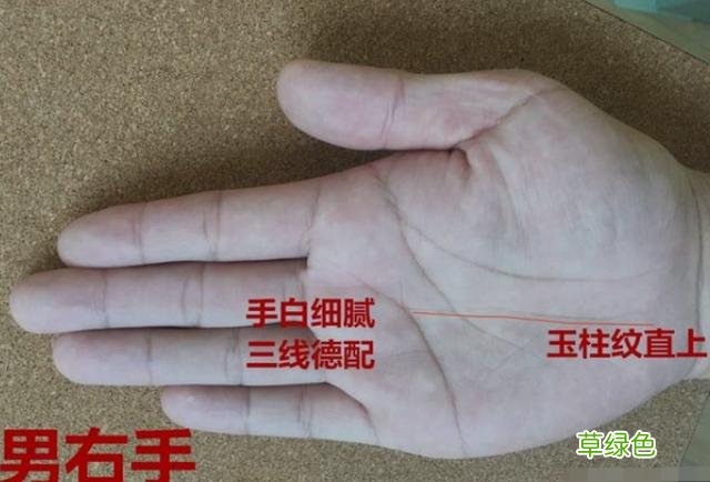 手相中玉柱纹出现横切线，容易创业失利、破财！ 什么叫玉柱线