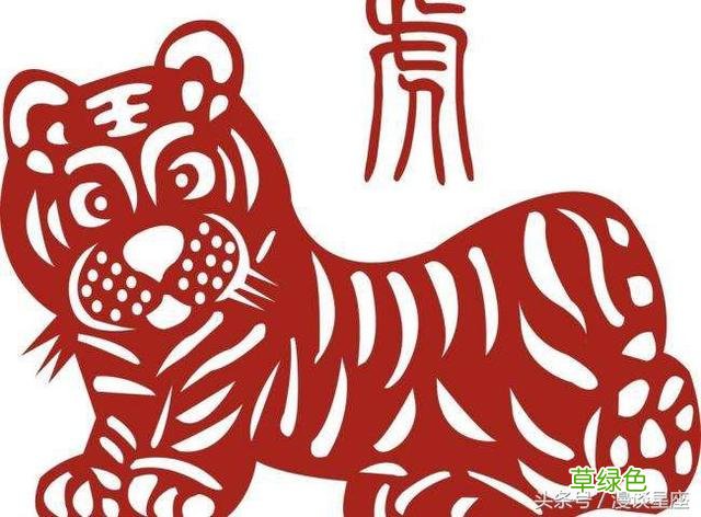 在一起相克的生肖 克财克健康 越来越倒霉 什么叫生肖克