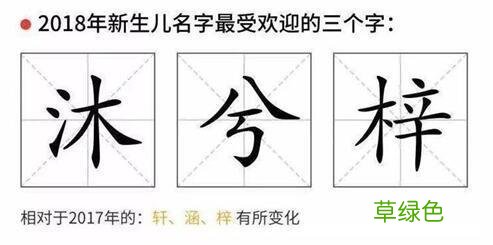 新生儿“zi”字辈扎堆 你知道全国最热的名字是啥？ 刘什么怡好听