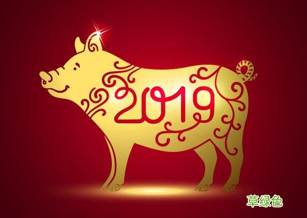 2019年真的是金猪年吗？你也在跟风生孩子？很多孕妇弄错了 2019年属什么