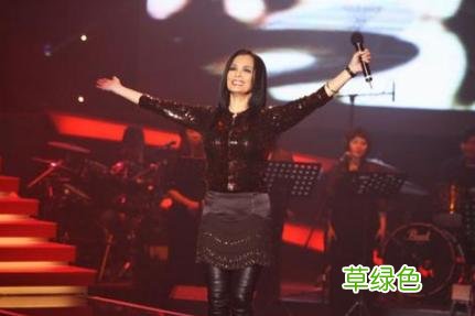 和恩师决裂，被父亲痛骂，恋有妇之夫，后嫁老外遭家暴，今单身 刘彦什么好听