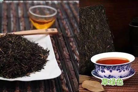 安化黑茶作用与功效 黑茶作用与功效