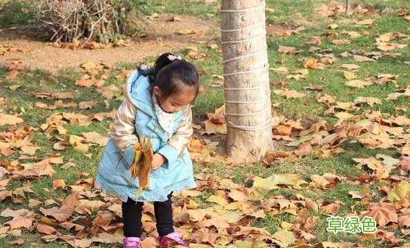 刘姓起名 刘姓好听的名字大全 刘氏怎么起名
