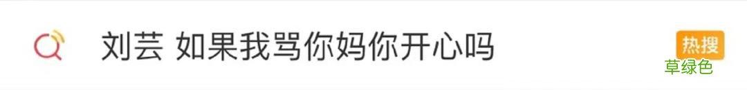 一直被骂情商低，上综艺只有恶评的她，这次凭什么被支持？ 刘芸的名字
