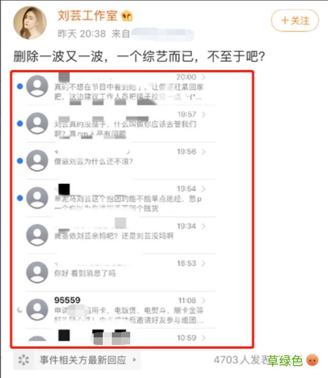 一直被骂情商低，上综艺只有恶评的她，这次凭什么被支持？ 刘芸的名字