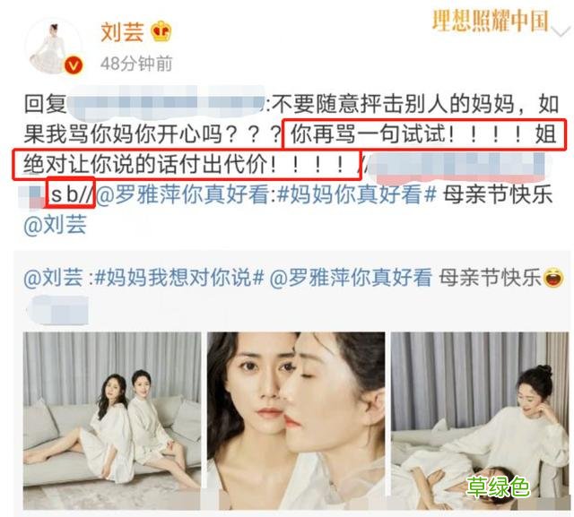 一直被骂情商低，上综艺只有恶评的她，这次凭什么被支持？ 刘芸的名字