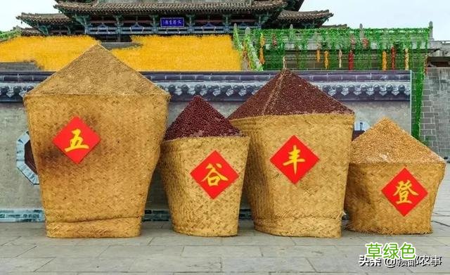 明年是牛年，农村俗语“寡年遇金牛，饿死鸡和狗”，是什么意思？ 什么属相克牛