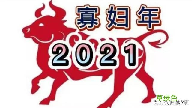 明年是牛年，农村俗语“寡年遇金牛，饿死鸡和狗”，是什么意思？ 什么属相克牛