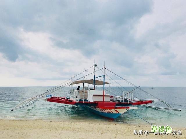 在妈妈拍丝瓜岛遇到麒麟鱼，两个好听的名字，一段难忘的奇遇 什么岛好听