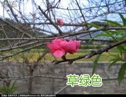 「无为子说风水」八字里的桃花为何会带劫煞? 劫煞怎么办