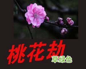 「无为子说风水」八字里的桃花为何会带劫煞? 劫煞怎么办