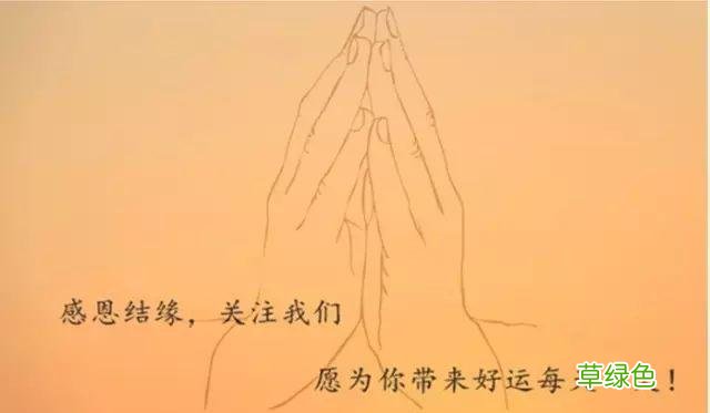 宝宝取名：五行喜木，寓意平安健康成长的名字 名字五行字