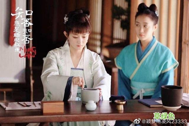 知否原著：小桃对明兰给她起的名字十分抑郁，明兰又大手一挥起名 名字什么婷