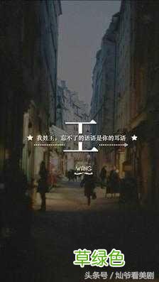 给我一个姓，给你一个好听的名字—“王”系列 什么王好听