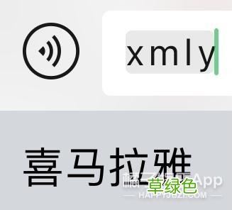 长知识了！YYDS和ZQSG含义大公布，这份缩写指南帮你扫清冲浪障碍 yy长名字