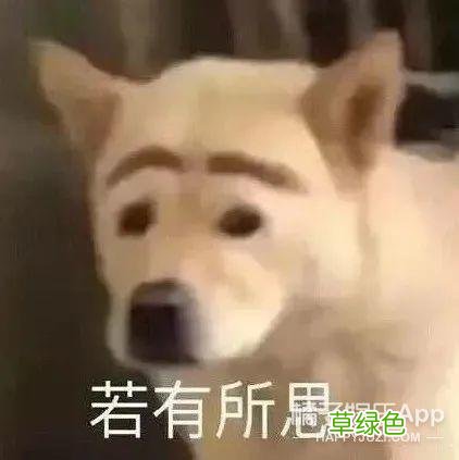 长知识了！YYDS和ZQSG含义大公布，这份缩写指南帮你扫清冲浪障碍 yy长名字