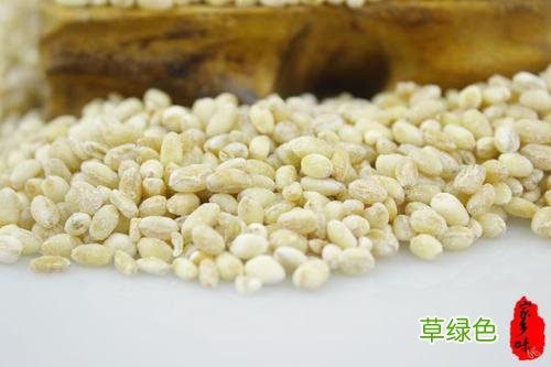 陈艾条的功效与作用 陈麦功效与作用