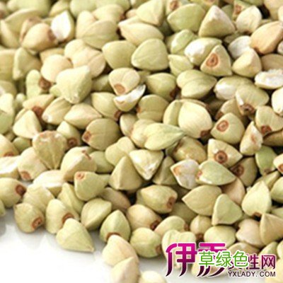 陈艾条的功效与作用 陈麦功效与作用
