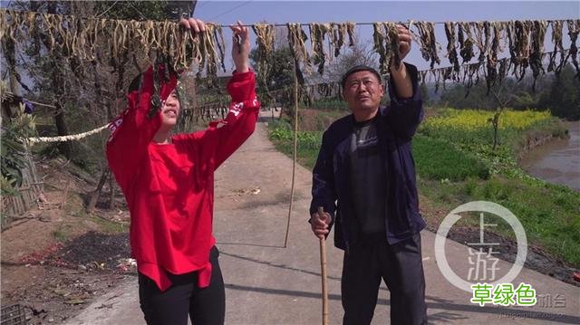重庆一村上百人姓“哈”火爆网络 村民：欢迎来打卡 哈姓怎么念