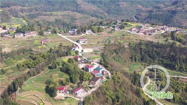 重庆一村上百人姓“哈”火爆网络 村民：欢迎来打卡 哈姓怎么念