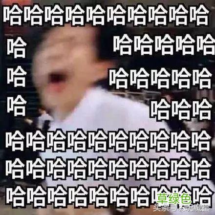 上海一爸爸姓哈,求助孩子取名,结果网友的回复太搞笑了! 哈姓怎么起名