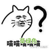 上海一爸爸姓哈,求助孩子取名,结果网友的回复太搞笑了! 哈姓怎么起名