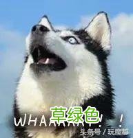 上海一爸爸姓哈,求助孩子取名,结果网友的回复太搞笑了! 哈姓怎么起名