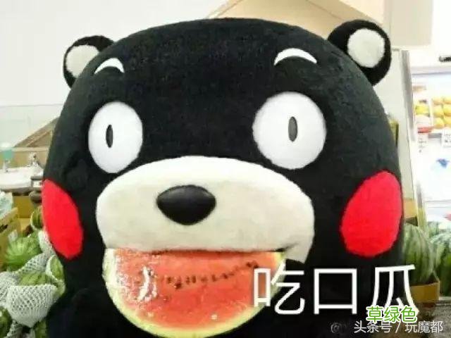 上海一爸爸姓哈,求助孩子取名,结果网友的回复太搞笑了! 哈姓怎么起名