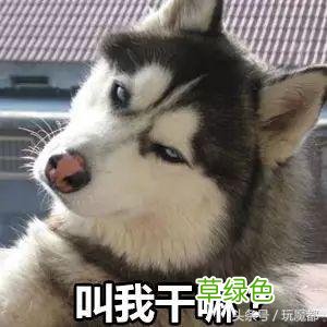 上海一爸爸姓哈,求助孩子取名,结果网友的回复太搞笑了! 哈姓怎么起名