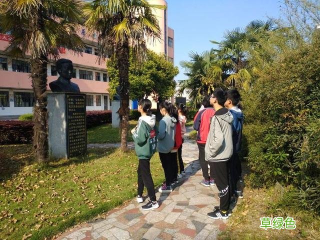 最是书香能致远——丰惠镇中打造特色校园文化活动一瞥 丁泽什么