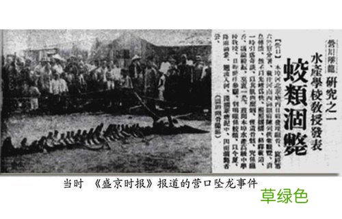 为什么十二生肖中有一种不存在的龙？古代真的有龙吗？ 不成什么生肖