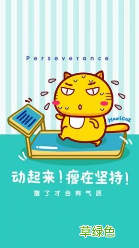 减肥中午多吃点可以吗 你不需要减肥多吃点