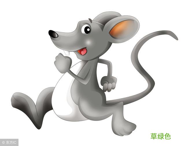 2018年属鼠人福德力增强，求名必遂，求财必丰，事业运增强 丰八字属什么