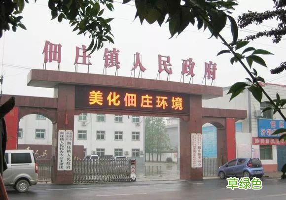 我可能是假的洛阳人，我居然把这个读错了！ 壑读什么