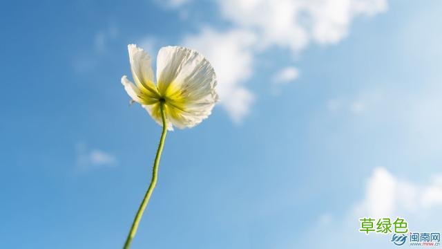 二月二龙抬头顺口溜大全 2022二月二龙抬头有哪些习俗 关于二月二龙抬头民谣 二五行属什么