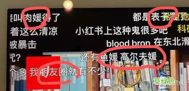 从众人追捧到谈之色变，“媛”究竟经历了怎样的污化 名字带媛
