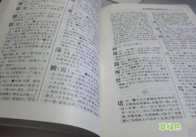 双胞胎爸爸姓“滚”，正发愁怎么起名字，爷爷的建议让身边人叫好 名字带滚