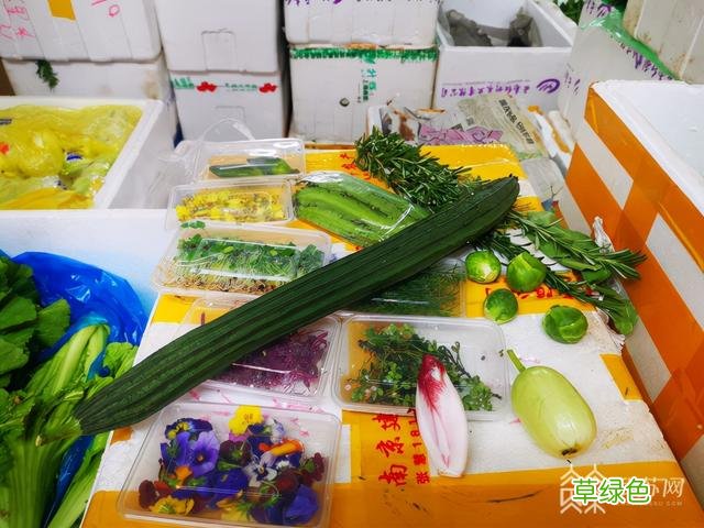 冰草苦苣宝塔菜......冷门蔬菜热销 这些特种菜您见过吗？ 名字带菜的