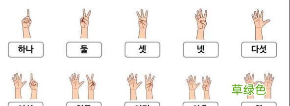 韩国人不解：中国人能用一只手从1比划到10,专属于中国人的智慧 十怎么比划
