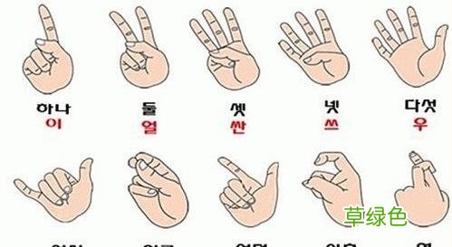 韩国人不解：中国人能用一只手从1比划到10,专属于中国人的智慧 十怎么比划