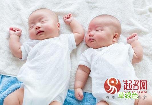 双胞胎女宝宝名字大全，附3对有寓意解析的双胞胎女宝宝名字 双胞胎女孩名字