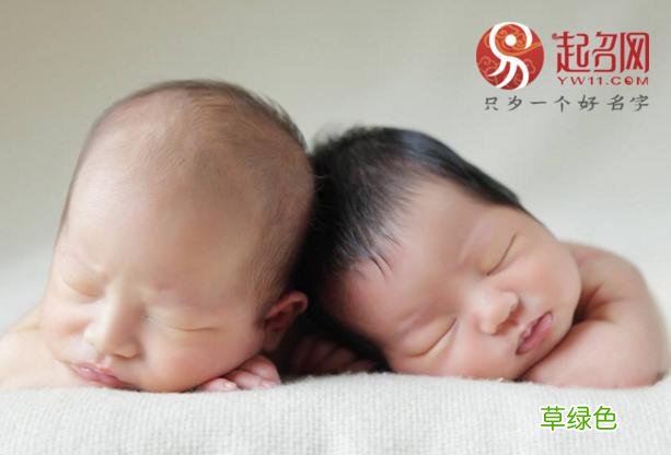 双胞胎女宝宝名字大全，附3对有寓意解析的双胞胎女宝宝名字 双胞胎女孩名字