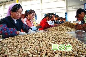 国家扶持农村办厂有哪些项目 如何办理扶贫加工厂