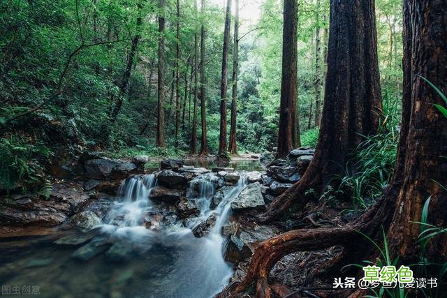 那些藏在古诗词里唯美好听的名字，赶快收藏起来，取名不再求人 向雁名字