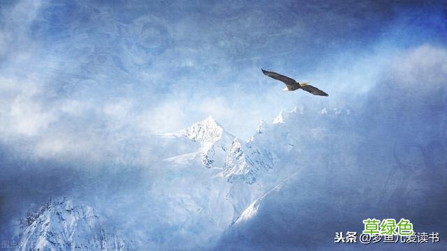 那些藏在古诗词里唯美好听的名字，赶快收藏起来，取名不再求人 向雁名字