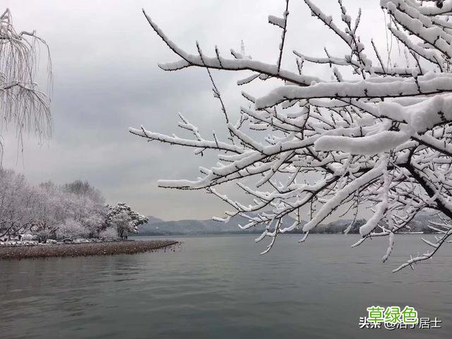 原创：大寒·梅花·雪 名字漫晨