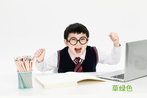 少儿编程价格表 孩子多大可以学编程