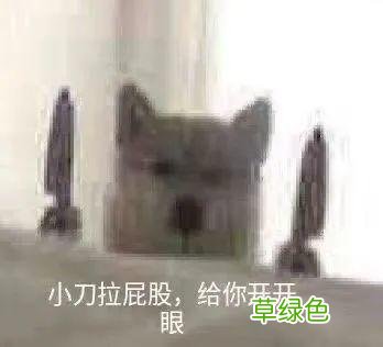 免费少儿编程软件下载 电脑编程软件下载