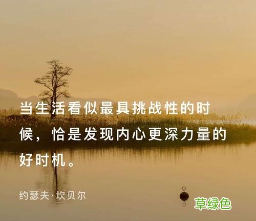 马字人生不言弃纵有疾风起